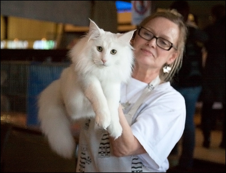 Wonderwoods Easy Rider 7.jpg - Wonderwoods Easy Rider